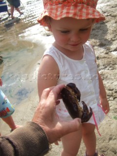 Children playing on a sandy beach looking for crustacea and crabs