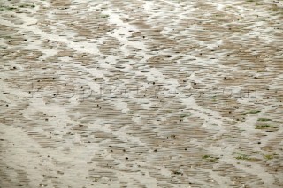 Texture on a sandy beach