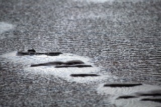 Wet sand and textured surface of shallow water