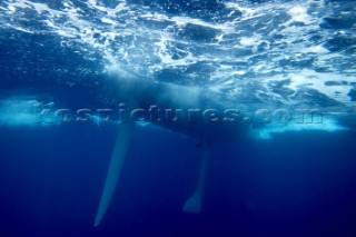 Yacht rudder and keel underwater - Rolex Trophy Series 2005