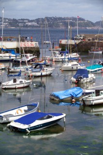 The Harbour at paignton Torbay