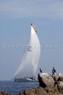 Maxi Yacht Rolex Cup 2006