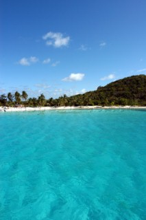 Tobago Cays 06