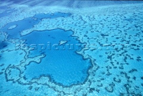 Australia Hamilton Island Barriera CorallinaPhoto BorlenghiCarloSea and See