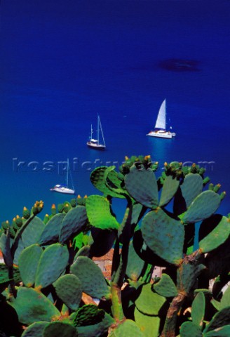 Cefal  Sicily  Italy View with sailing boats from the Rocca Ruines 