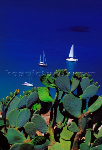Cefal  Sicily  Italy View with sailing boats from the Rocca Ruines  