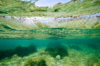 The seabed under shallow water seen from below the waterline whilst also looking up through surface flora