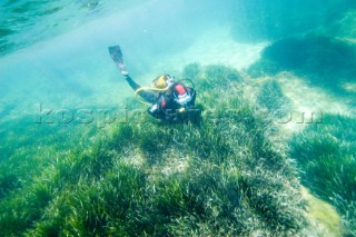 A scuba diver investigates the the seabed in the shallows