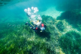 A scuba diver investigates the the seabed in the shallows