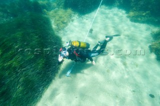 A scuba diver investigates the the seabed in the shallows