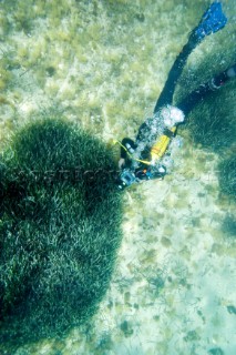 A scuba diver investigates the the seabed in the shallows