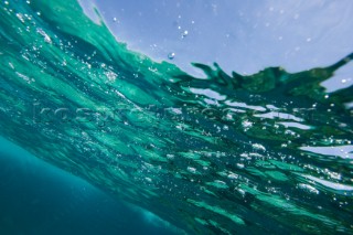 Looking at a flora obstructed sky from underwater