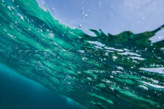 Looking at a flora obstructed sky from underwater