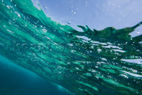 Looking at a flora obstructed sky from underwater