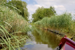 View from narrow boat travelling along overgrown section of the Montgomery canal near Maesbury,Shropshire,England,UK.July 2006.