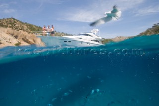 A seagull peruses a menu of fish from just above the waterline watched by three people on standing on the bow of a power boat