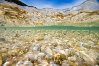 A shallow clear stream tumbles over a bed of pebbles under a sunny blue sky