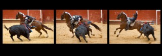 Bull fight in Valencia, Spain