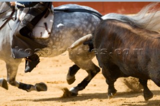 Bull fight in Valencia, Spain