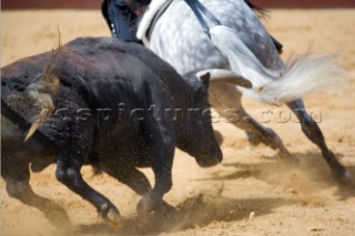 Bull fight in Valencia, Spain