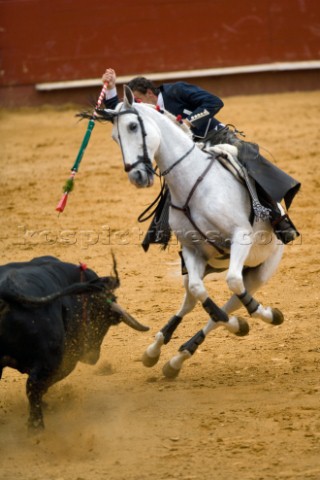 Bull fight in Valencia Spain