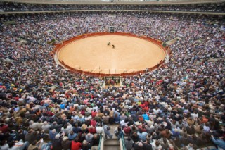 Bull fight in Valencia, Spain