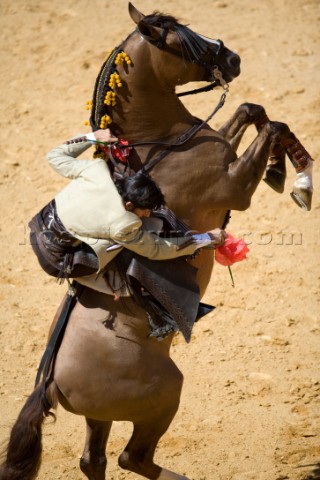 Bull fight in Valencia Spain