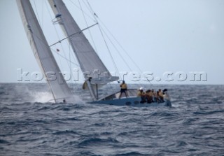 Patient Falcon - The Superyacht Cup 2007 Antigua in the Caribbean