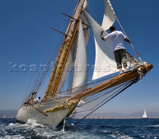 The Horus Superyacht Cup Palma 2009 Palma Mallorca - Spain From 24th to 27th June 2009 WINDROSE