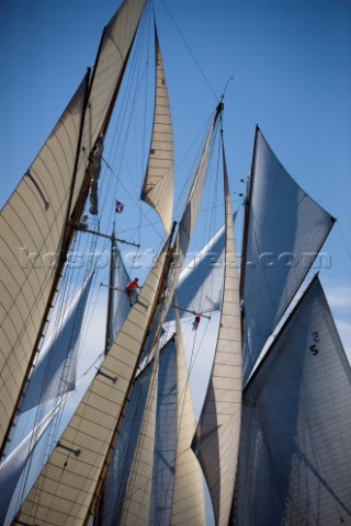 Monaco Classic Week 2009 and Tuiga Centenary celebration