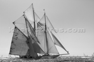 Monaco Classic Week 2009 and Tuiga Centenary celebration