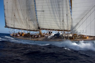 Monaco Classic Week 2009 and Tuiga Centenary celebration - Eleonora