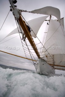 Westward Cup 2010 in Cowes