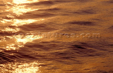 Sunlight reflected on rippled water