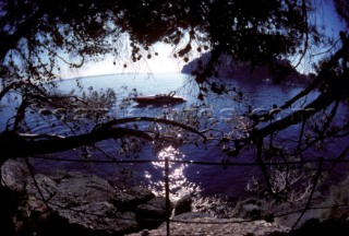 Sleek speedboat at anchor by trees near Portofino