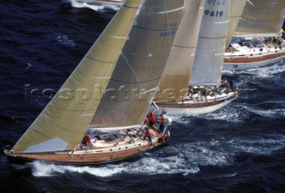 Three swan yachts racing off the start line