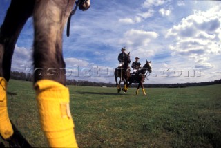 Polo players on horses on green grass