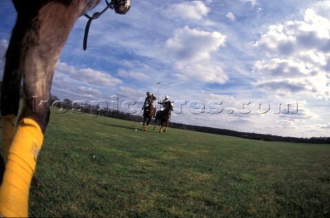 Polo players on horses on green grass