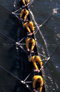 A team of rowers wearing yellow uniform clothing  in a skull on the River Thames