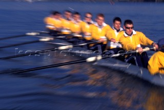 A team of rowers wearing yellow uniform clothing  in a skull on the River Thames