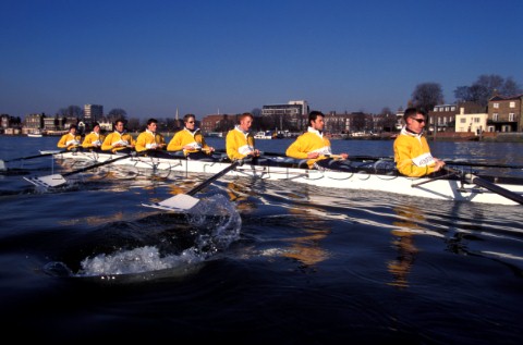 A team of rowers wearing yellow uniform clothing  in a skull on the River Thames