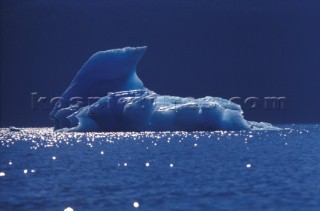 Tracy Arm - Alaska