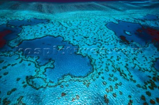 The paradise blue waters over the Coral Reef of Hamilton Island, Australia