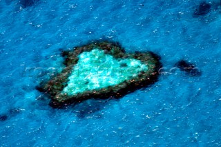 Heart Shaped Coral Reef Hamilton Island, Australia