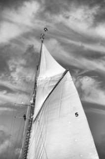 Bowman up the mast on Mariquita