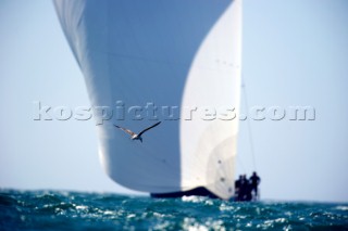 TP52 Audi MedCup in Cascais Portugal