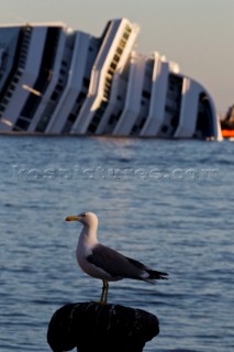 The passenger cruise ship Costa Concordia hit rocks and ran aground at 9.45pm on the Island of Giglio on January 13th 2012. The wrecked ship lays on a reef heeled on its side.