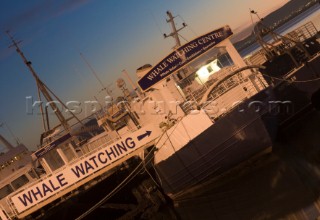 Old whaling ships moored in Reykjavik Harbour, Iceland