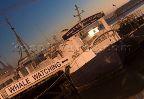 Old whaling ships moored in Reykjavik Harbour Iceland