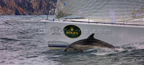 Hobart 28122008  Rolex Sydney Hobart Yacht Race 2008  Loki Owner Stephen Ainsworth Sail n AUS60000 S